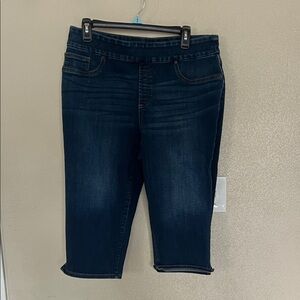 Chico's Dark Blue Ankle Jeans